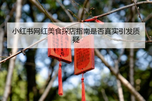 小红书网红美食探店指南是否真实引发质疑